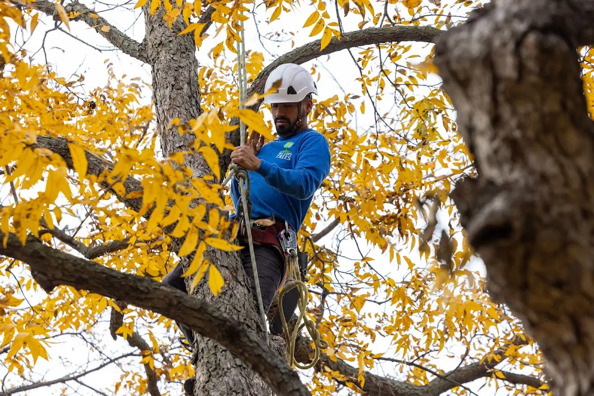 Skilled Storm Damage Cleanup crew working in Newton